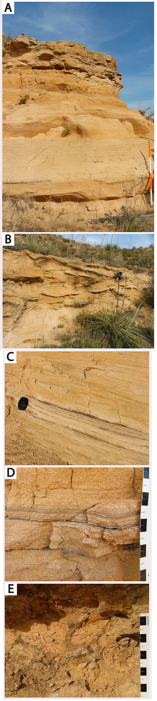 Five color photos. A is sandstone and conglomeratic deposits, B is trough cross-bedded sandstone, C is mud-draped laminae, D is close-up of the planar-laminated sandstone facies, E is red beds rip-up clasts of mudstone clast conglomerate facies.