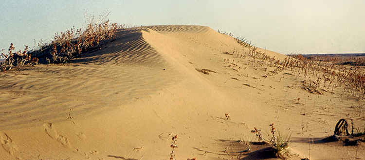 Sand dunes